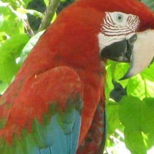 Meet your Posher, Marc